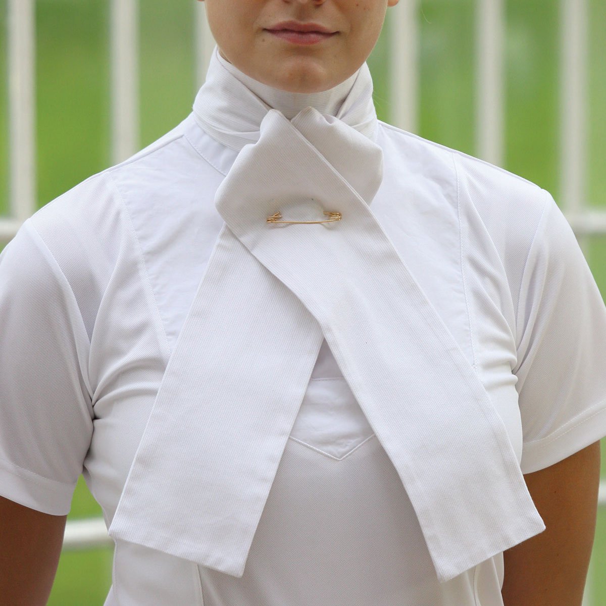 shires stock tie