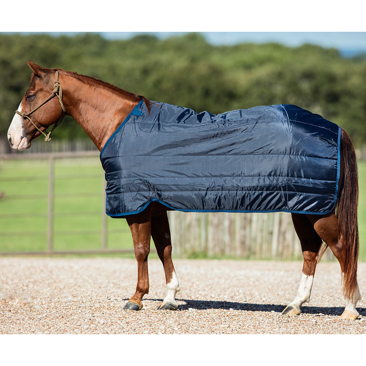 Horseware Blanket Liner 200g Paddock Saddlery