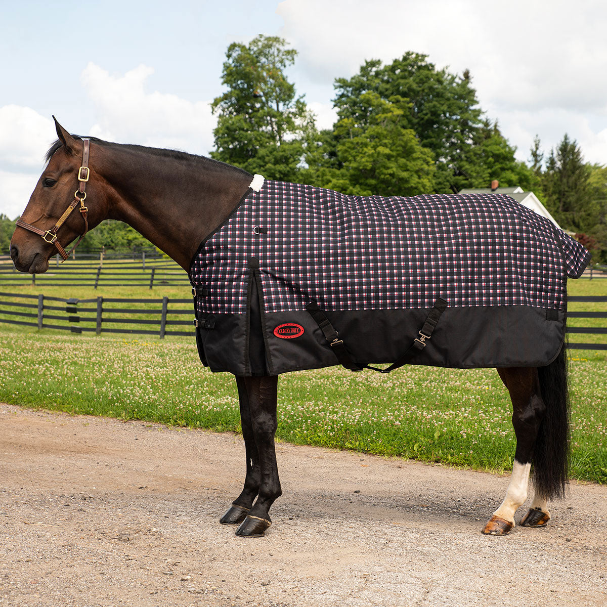 Calgary 1200D Waterproof Rainsheet Paddock Saddlery