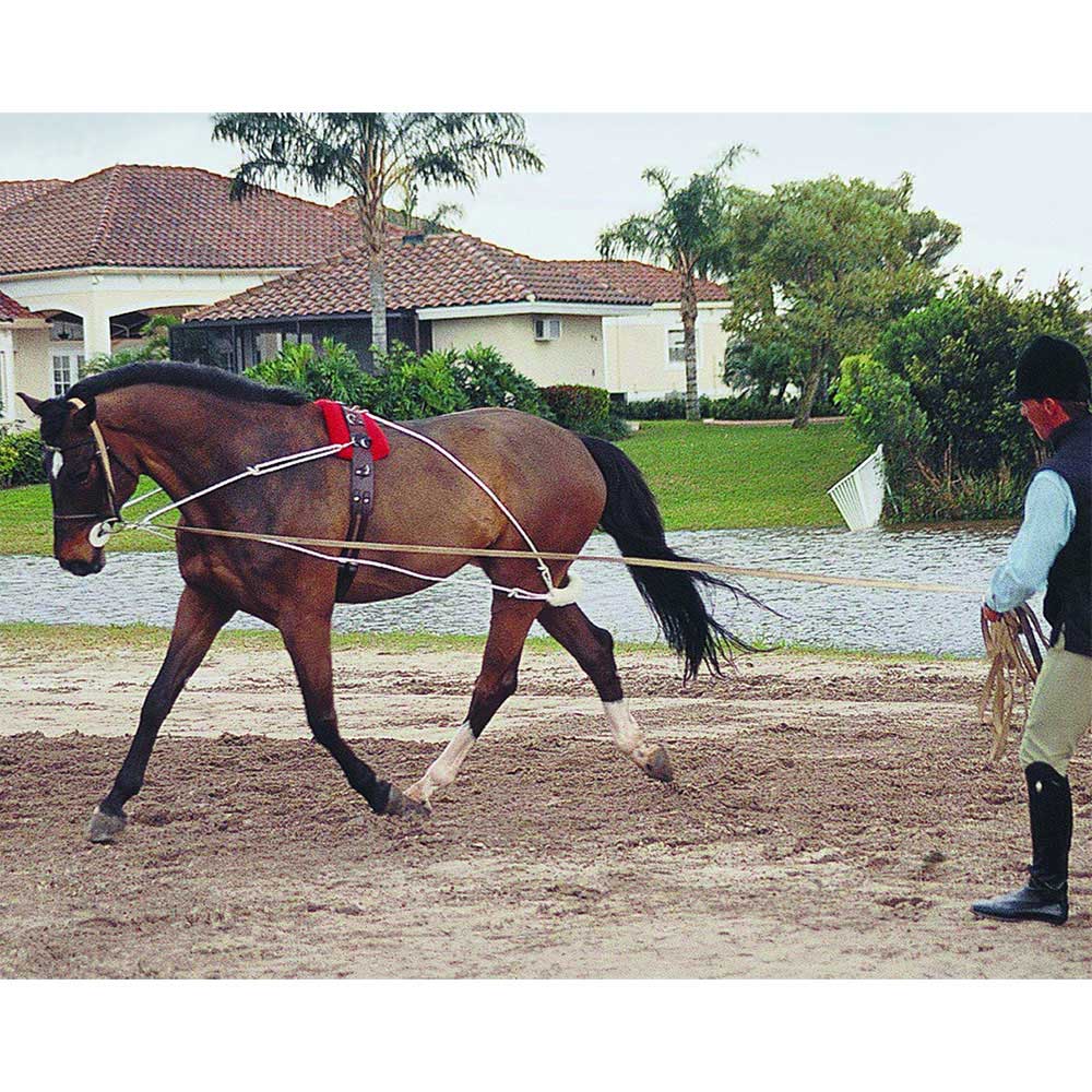 Training Aids & Auxiliary Reins – Paddock Saddlery