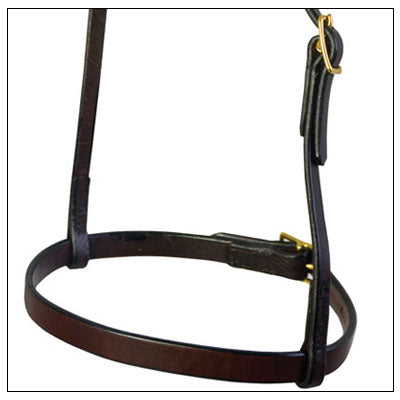 Deluxe Flat Leather Noseband Caveson | Arabian Work Tack – Paddock Saddlery