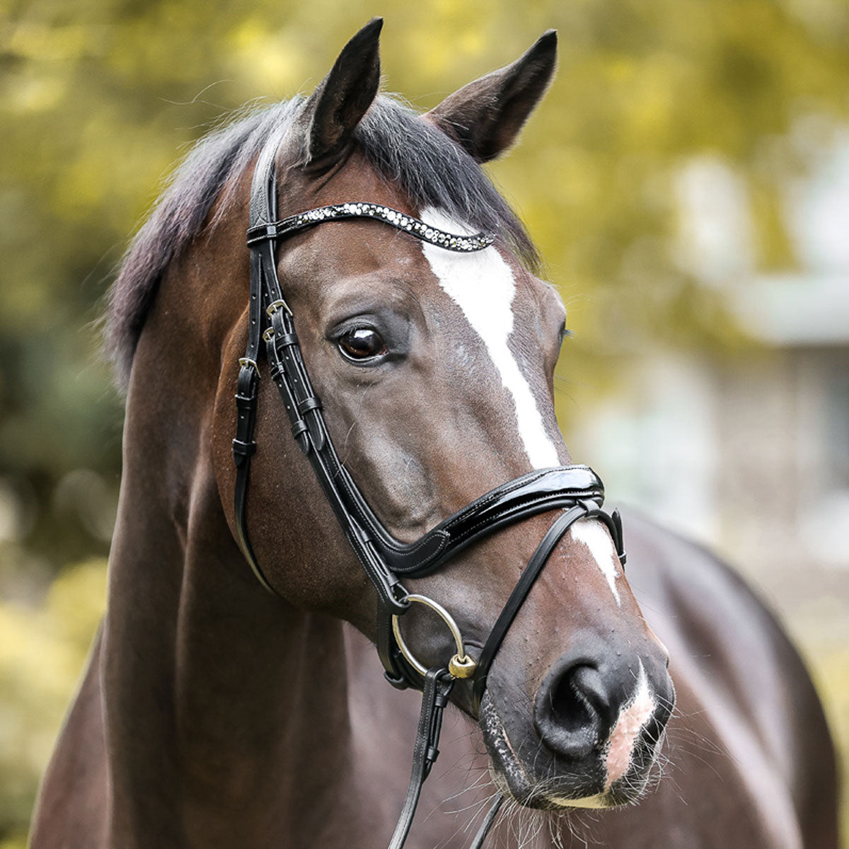 Kavalkade Ivana Sparkle Bridle with Flash – Paddock Saddlery