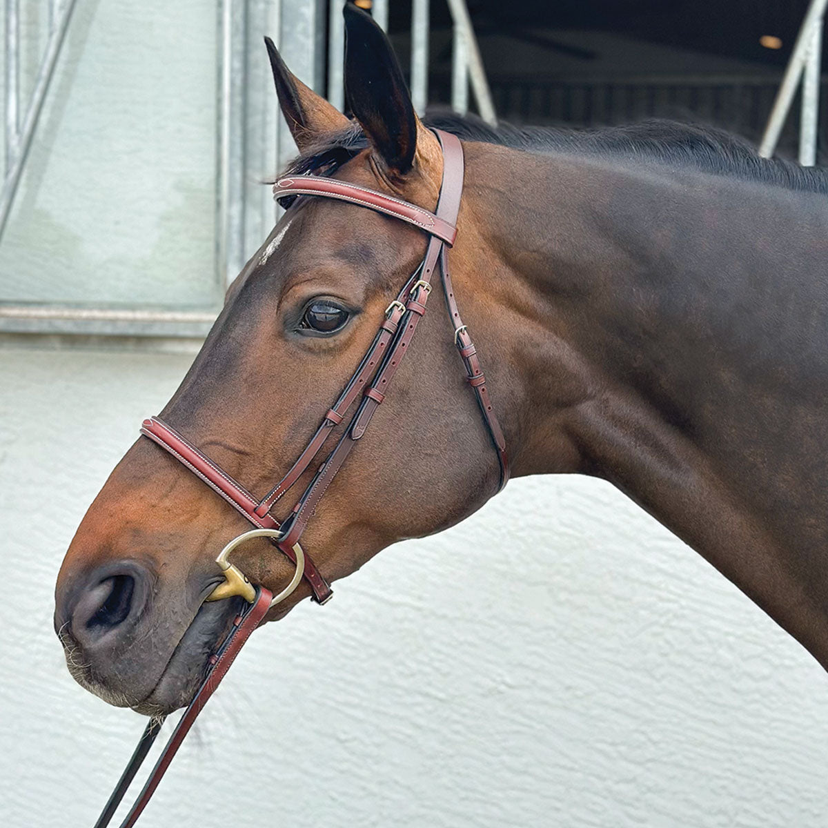 Country Pride Fancy Stitched Bridle – Paddock Saddlery