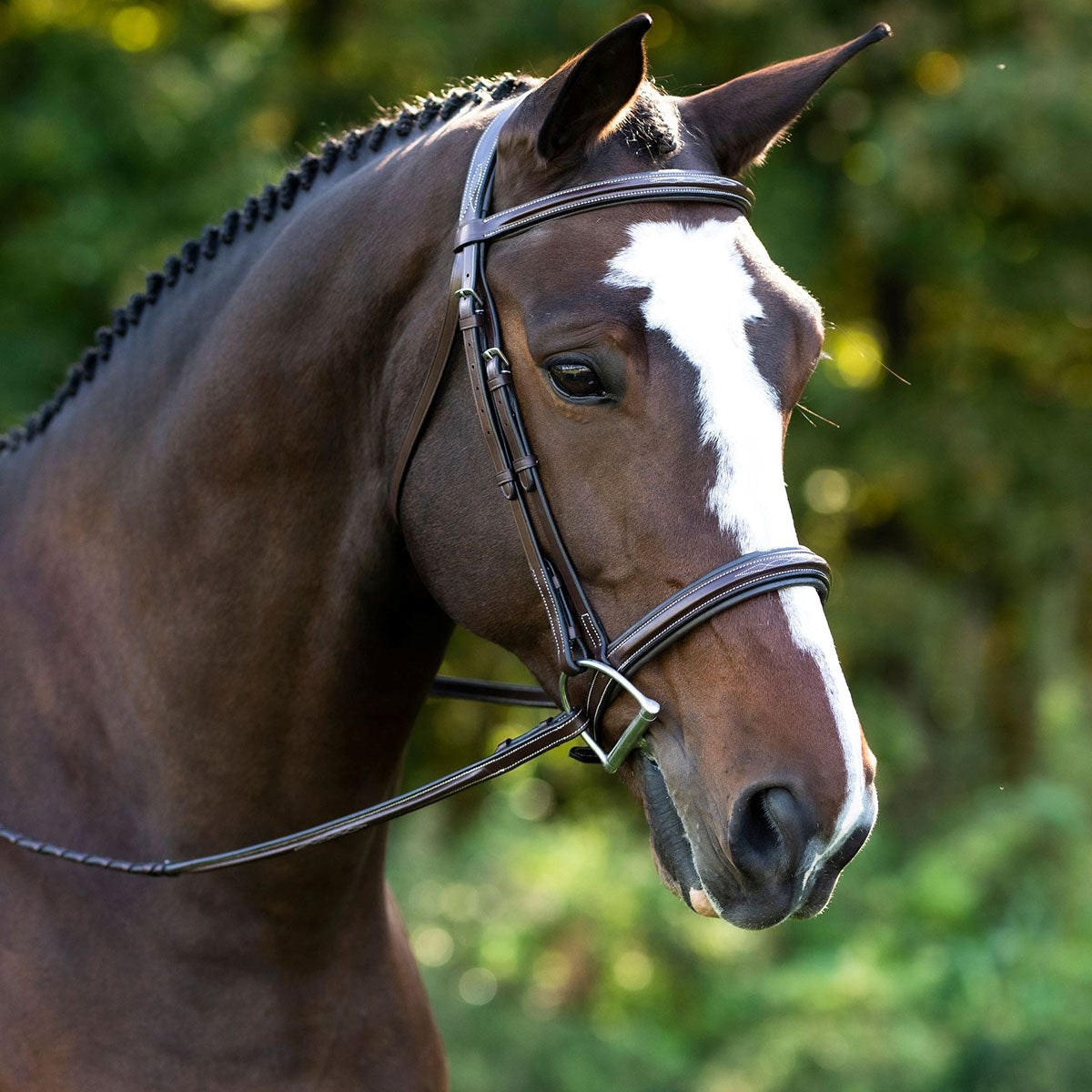 Black Oak Laurel Fancy Stitch Hunter Bridle – Paddock Saddlery