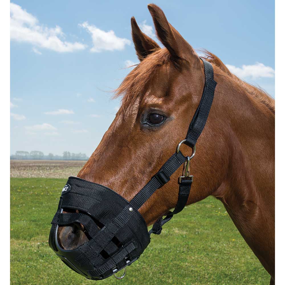 Easy breathe grazing muzzle sale