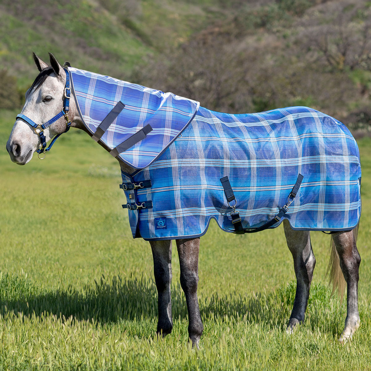Kensington SureFit Protective Fly Sheet and Neck Cover – Paddock Saddlery