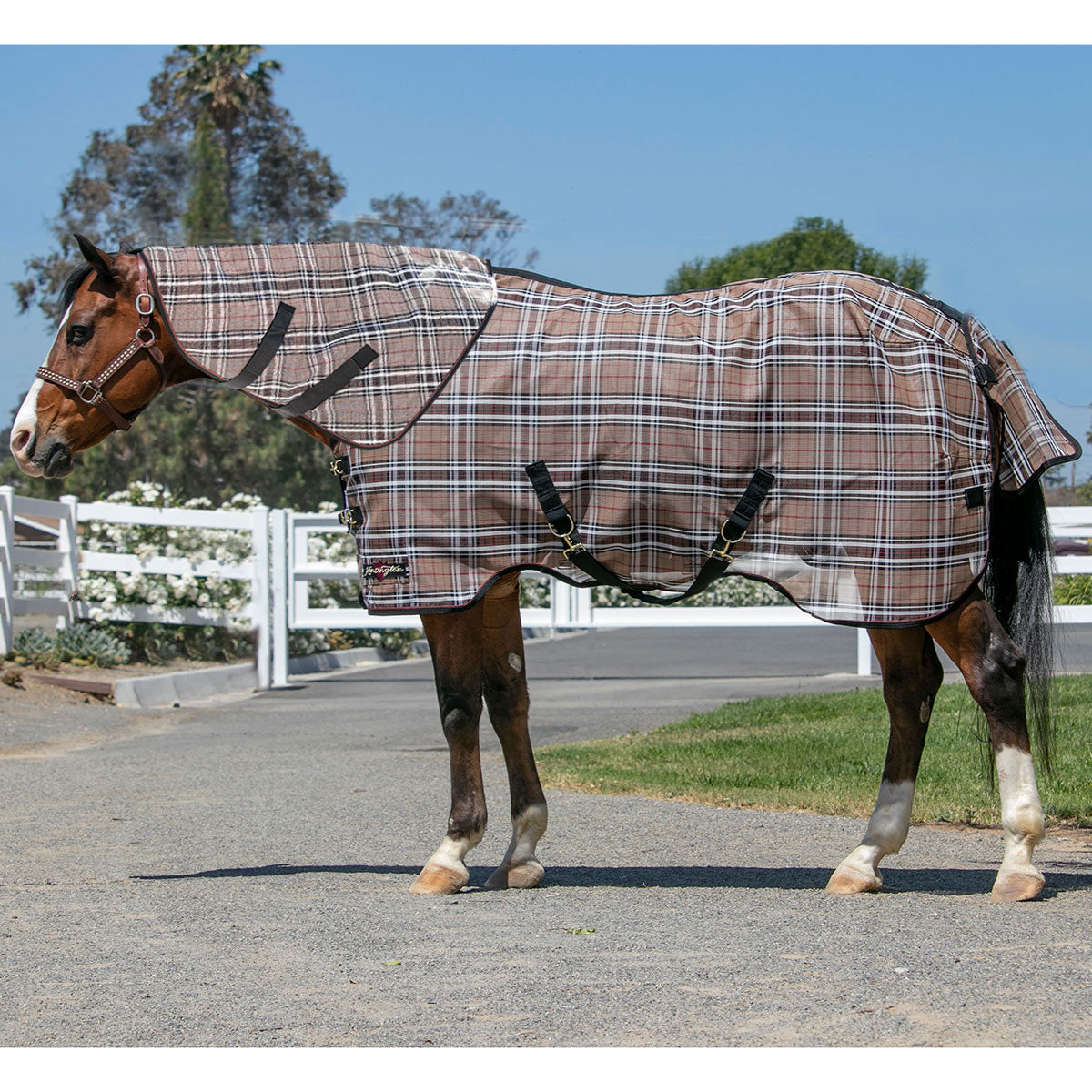 Kensington SureFit Protective Fly Sheet and Neck Cover – Paddock Saddlery