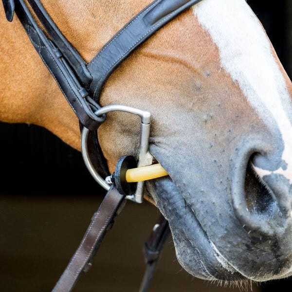 Ensemble d'outils de nettoyage pour chevaux, outil de nettoyage pour