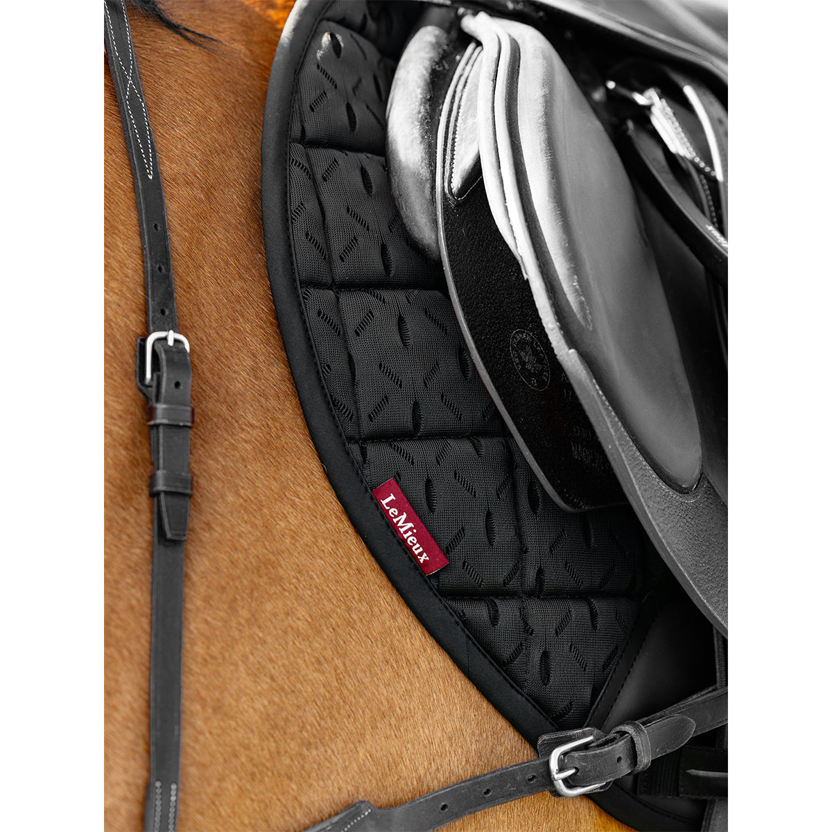 LeMieux 3D Mesh Self-Cool Eurojump Square Pad – Paddock Saddlery
