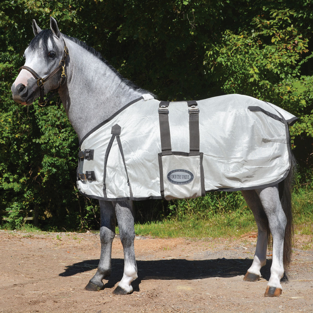 Country Pride Miniature Horse Mesh Fly Sheet with Bellyband – Paddock ...