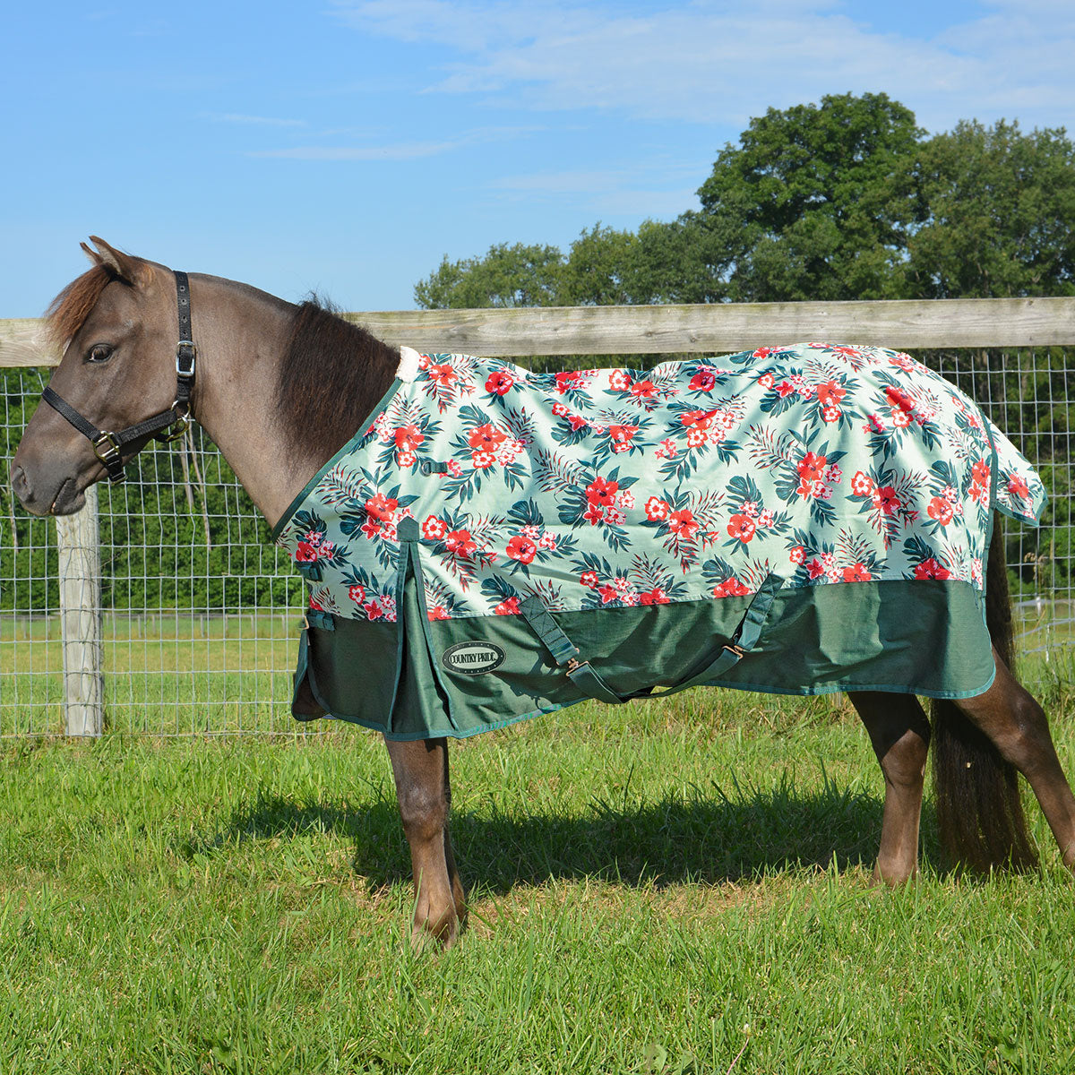 Miniature Horse Turnout Rainsheet 600d Hawaiian Print Paddock Saddlery