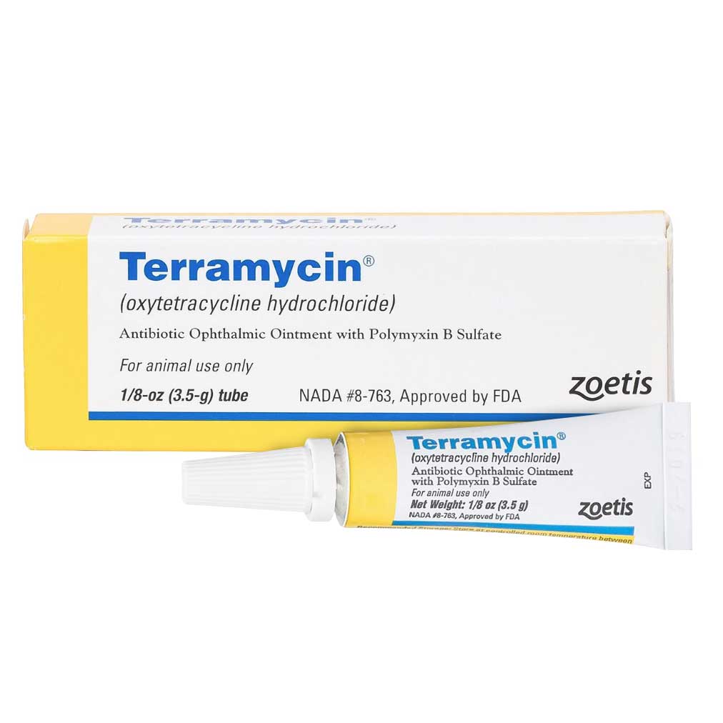 Terramycin Eye Ointment for Animals – Paddock Saddlery