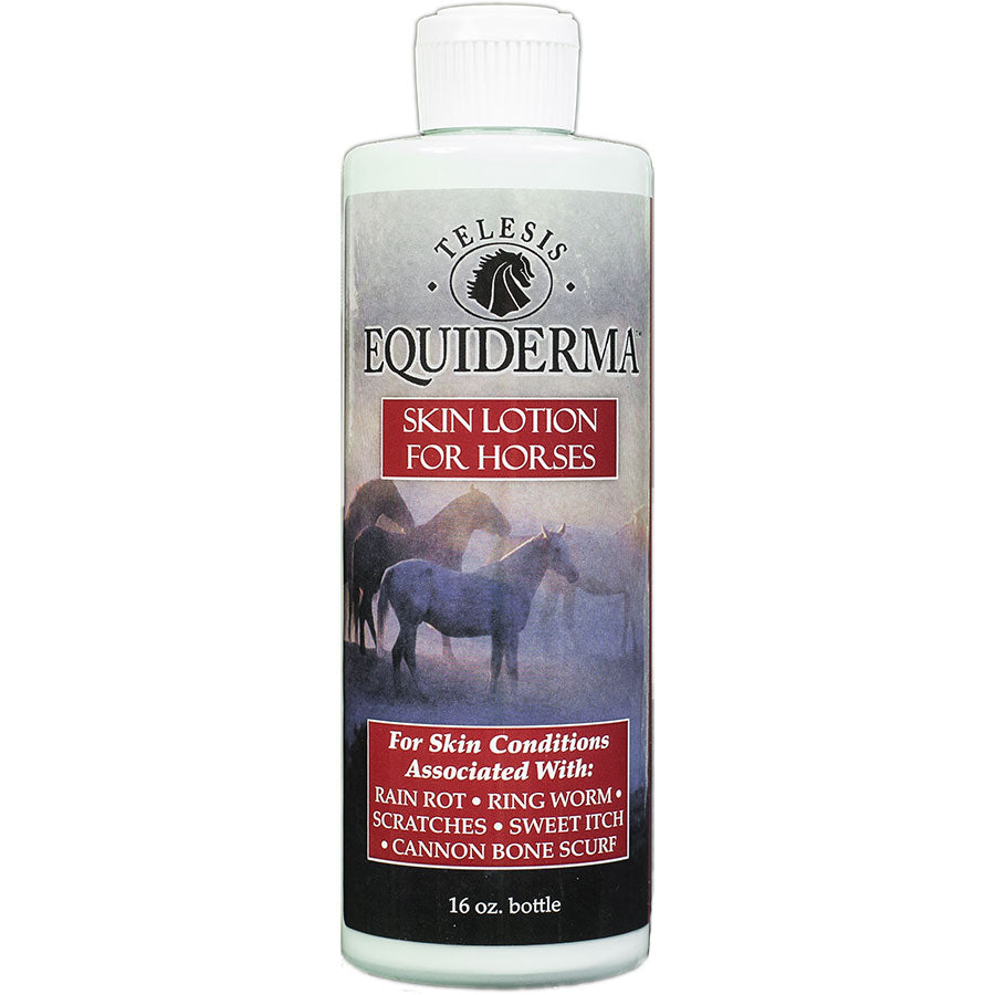 Equiderma Skin Lotion 16 oz Paddock Saddlery