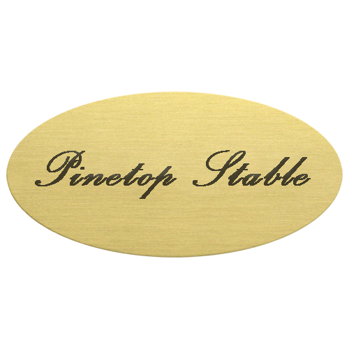 Custom Engraved Oval Brass Plaque – Paddock Saddlery