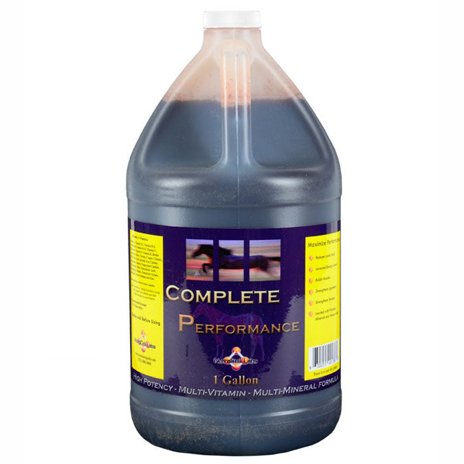Complete Performance Supplement | Vitamin Mineral Supplement – Paddock ...