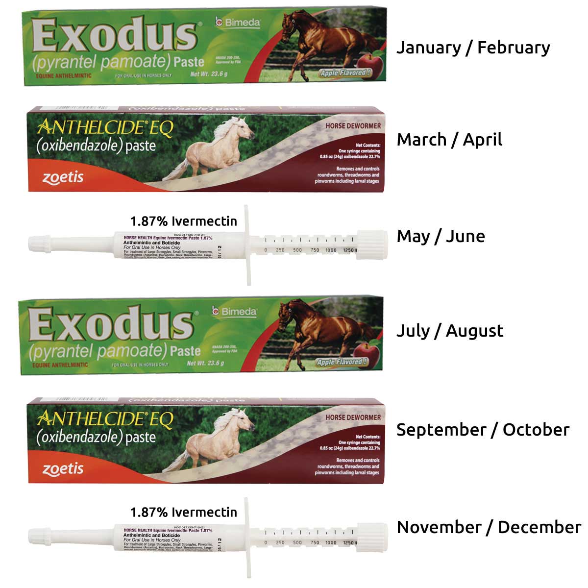Equine Yearly Dewormer Rotation Package | Horse Care – Paddock Saddlery equine-yearly-dewormer-rotation-package-horse-care-paddock-saddlery