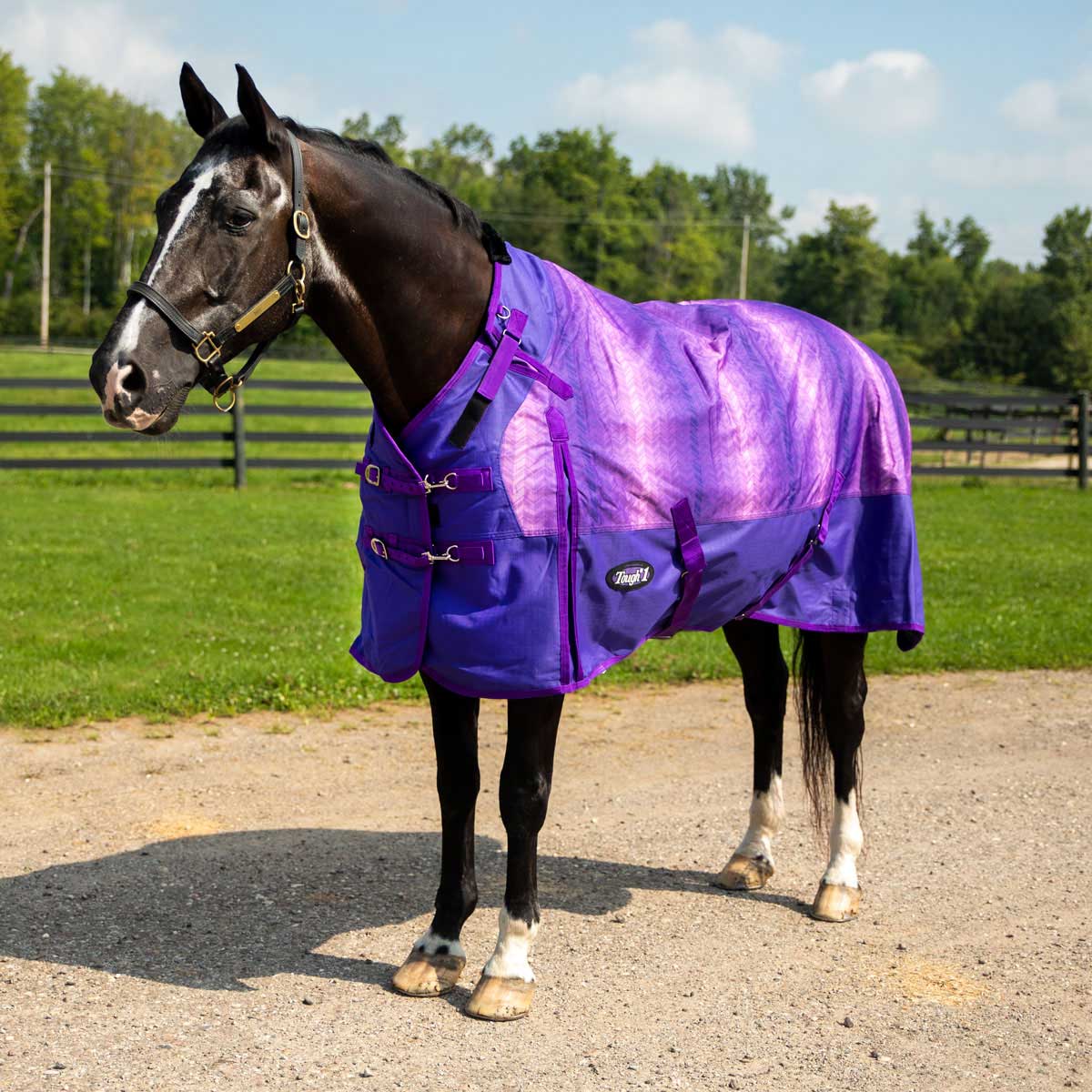 Tough 1 1200D Chevron 250g Snuggit Turnout Blanket | – Paddock