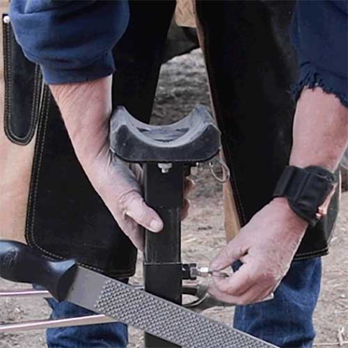 Adjustable Farrier Stand Horse Hoof Stand Paddock Saddlery