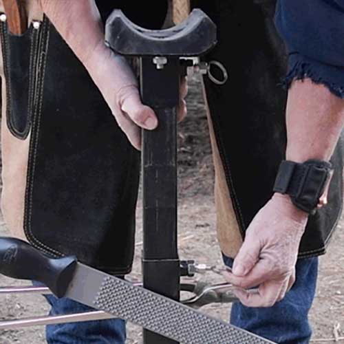 Adjustable Farrier Stand Horse Hoof Stand Paddock Saddlery