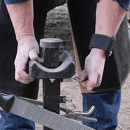Adjustable Farrier Stand | Horse Hoof Stand | – Paddock Saddlery