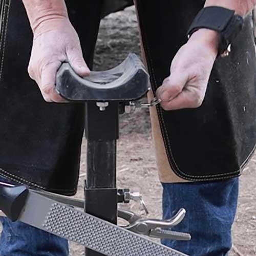 Adjustable Farrier Stand | Horse Hoof Stand | – Paddock Saddlery