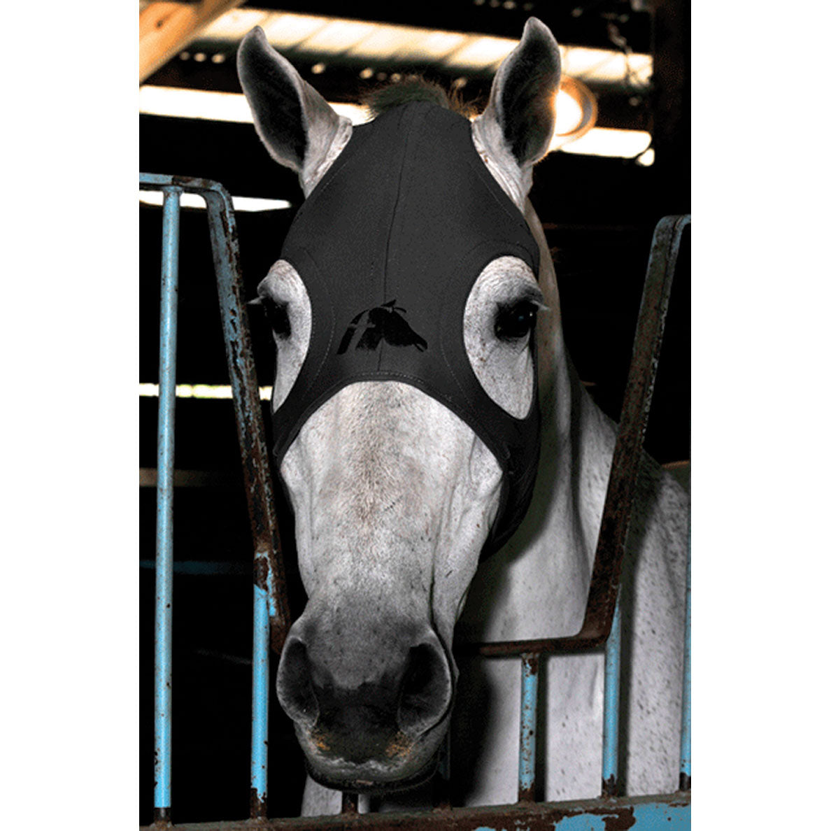 Liquid Titanium Horse Mask Fenwick Paddock Saddlery