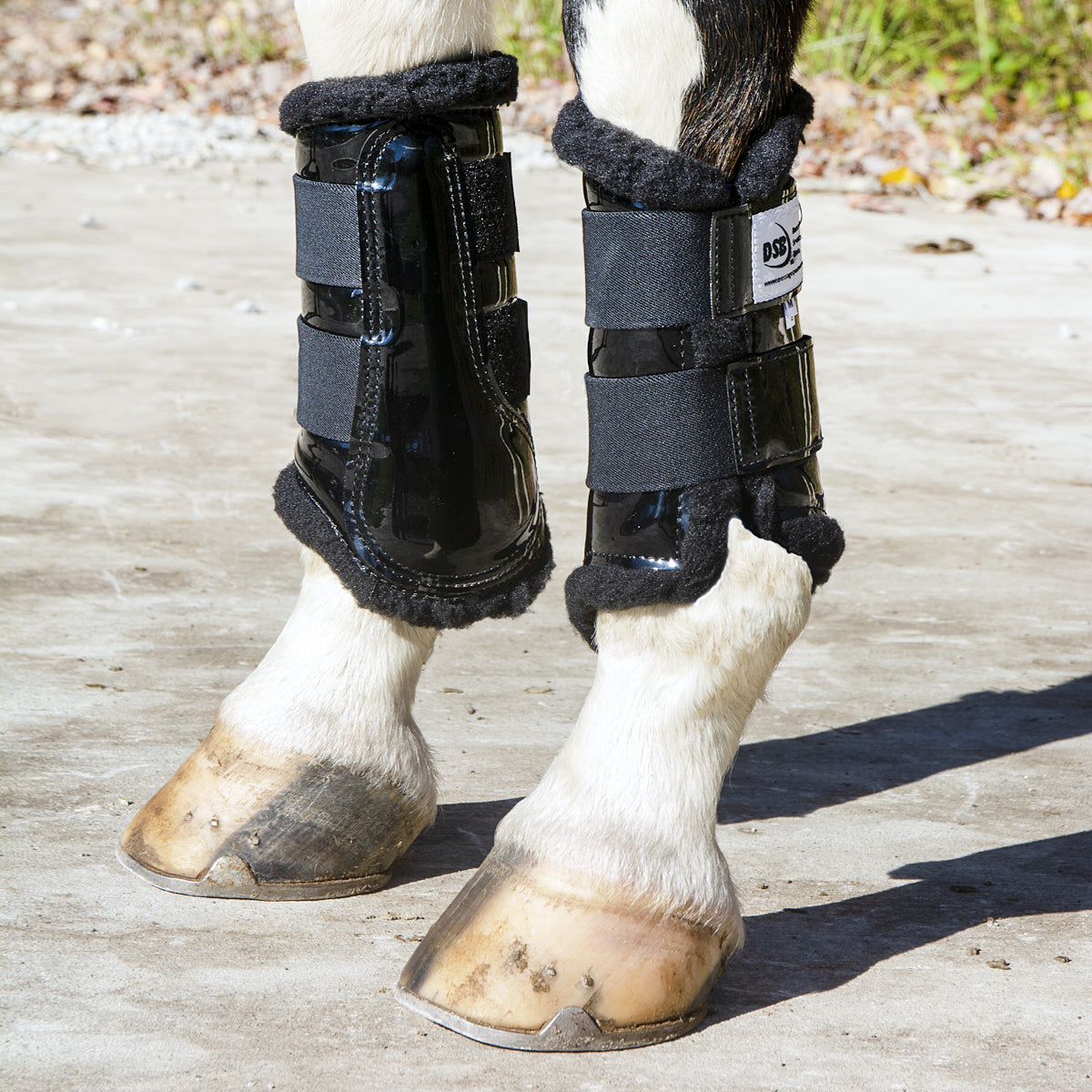 Dsb dressage outlet boots