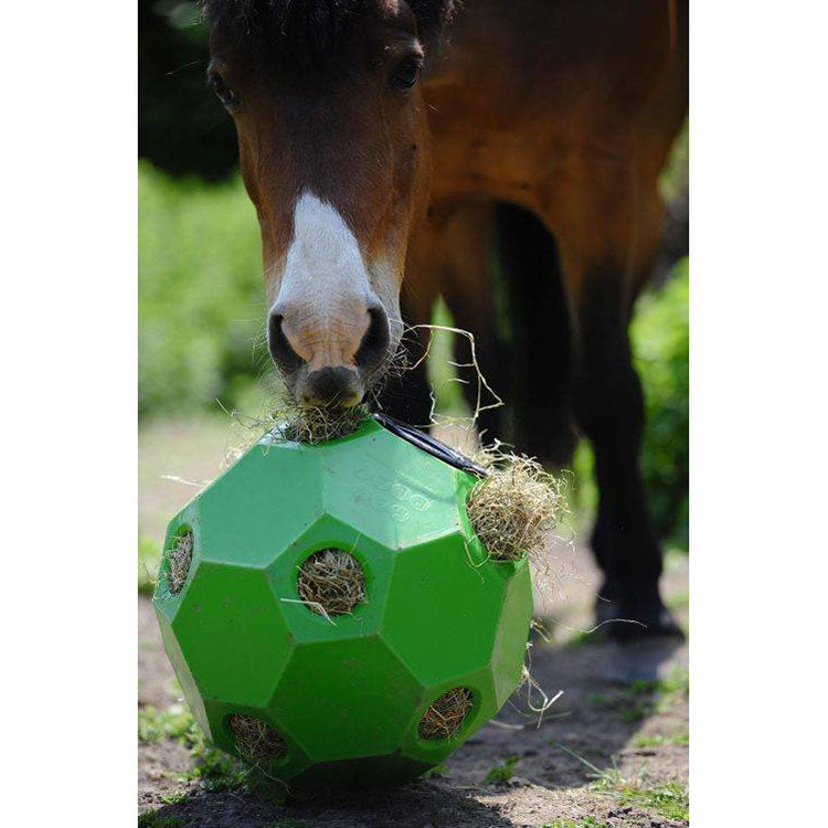 Burlingham Sports Slow Feed Hay Ball Toy Feeder | – Paddock Saddlery