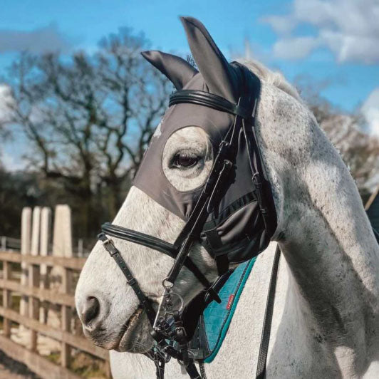 Fenwick Liquid Titanium Therapeutic Horse Mask with Ears Paddock Saddlery