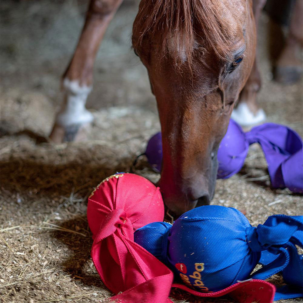 KONG Mega Wubba Horse Toy Equine Enrichment Toys Paddock Saddlery